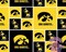 Licensed NCAA Iowa Hawkeyes Cotton IA-006 Cotton Fabric by the Yard